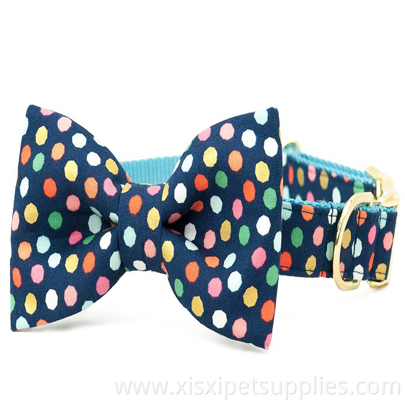 Wholesale Supply Pet Dog Collars with Bowie Charm Eco-friendly